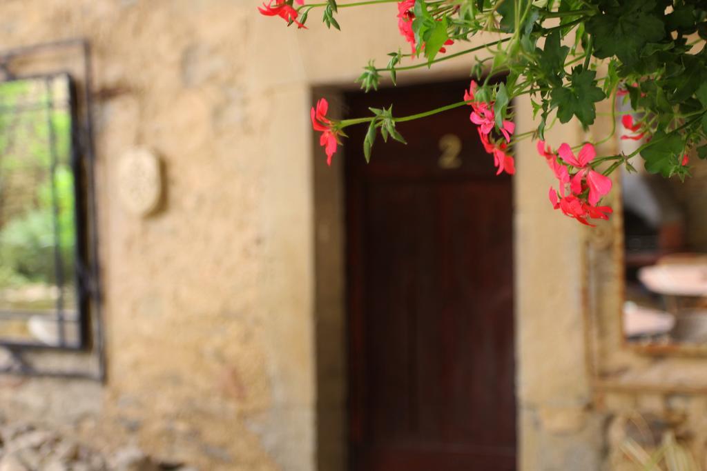 Gasthaus Domaine De Palatz Laure-Minervois Exterior foto