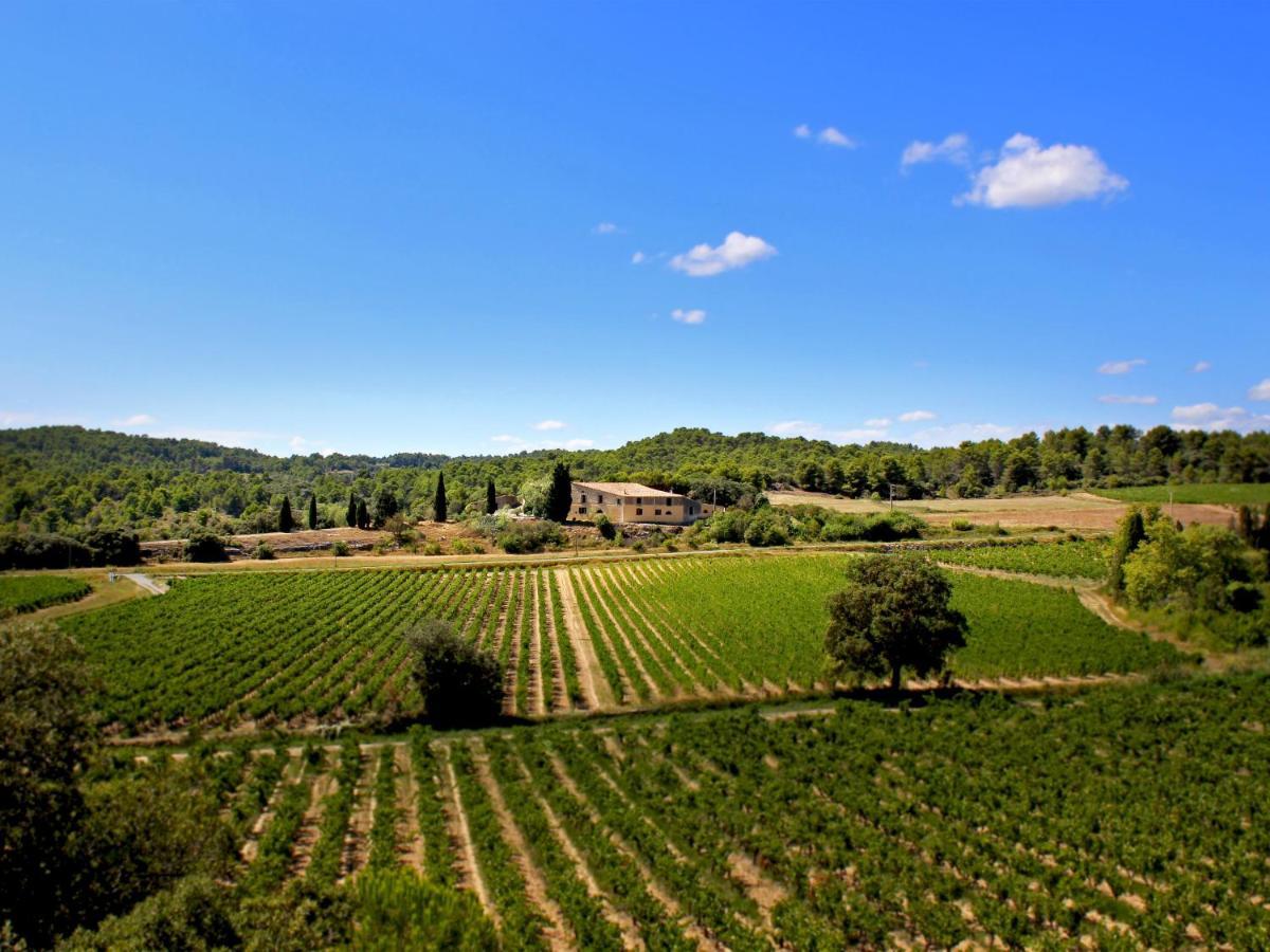 Gasthaus Domaine De Palatz Laure-Minervois Exterior foto